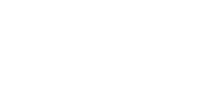 Connectum logo - light